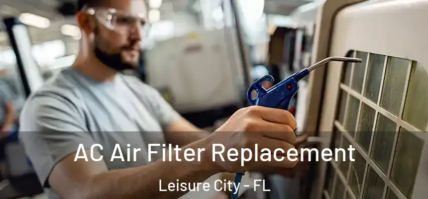  AC Air Filter Replacement Leisure City - FL