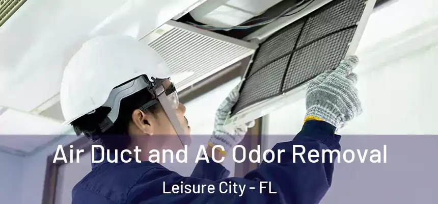 Air Duct and AC Odor Removal Leisure City - FL