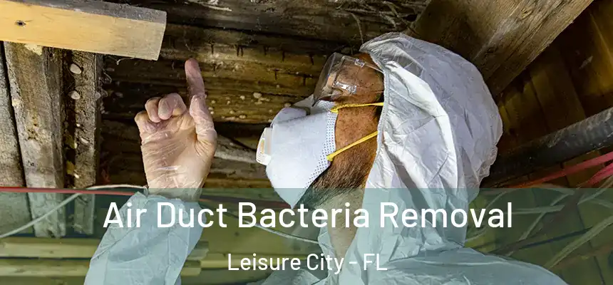  Air Duct Bacteria Removal Leisure City - FL
