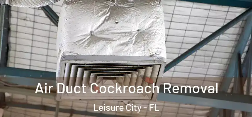  Air Duct Cockroach Removal Leisure City - FL