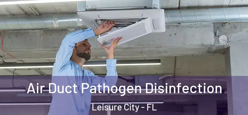  Air Duct Pathogen Disinfection Leisure City - FL