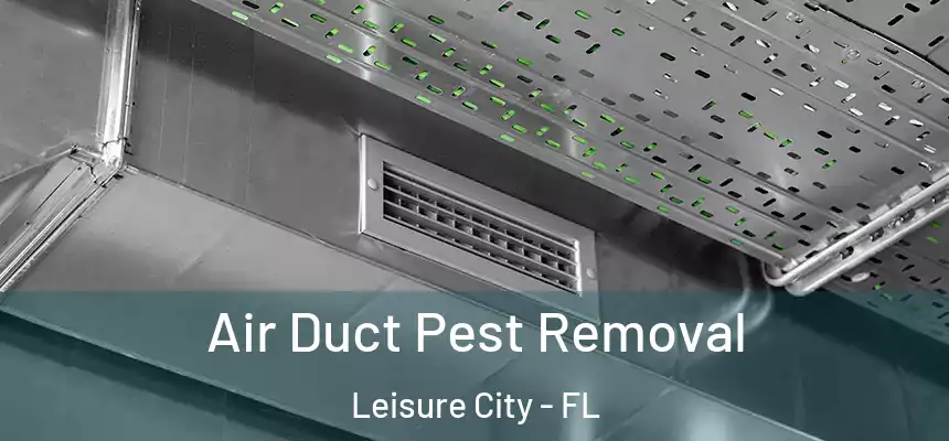 Air Duct Pest Removal Leisure City - FL