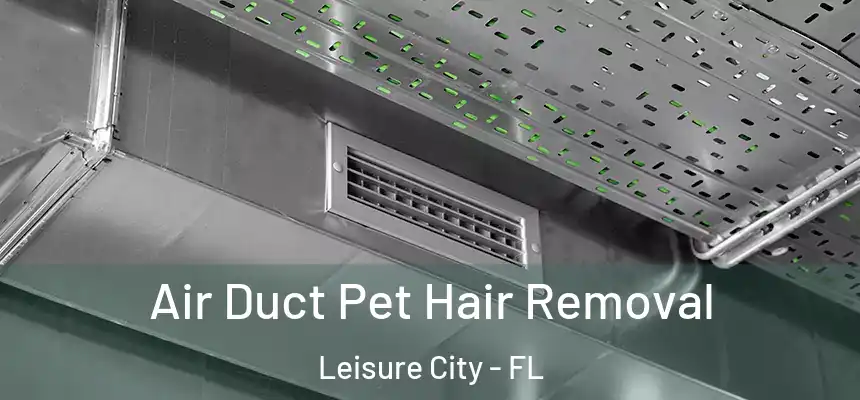  Air Duct Pet Hair Removal Leisure City - FL