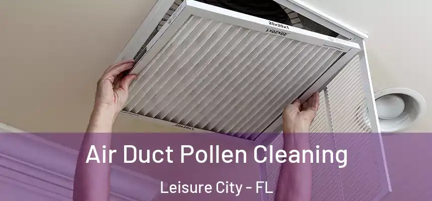 Air Duct Pollen Cleaning Leisure City - FL
