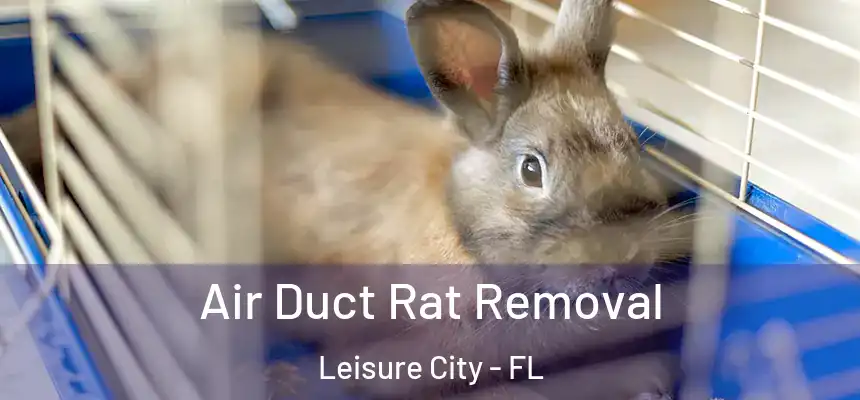 Air Duct Rat Removal Leisure City - FL