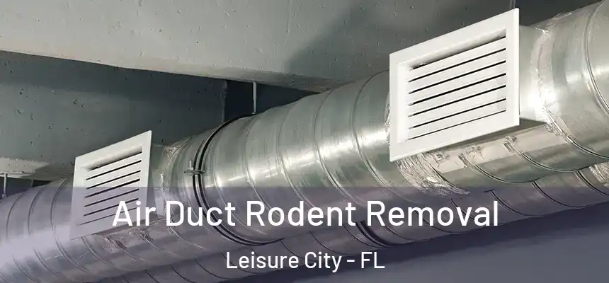Air Duct Rodent Removal Leisure City - FL