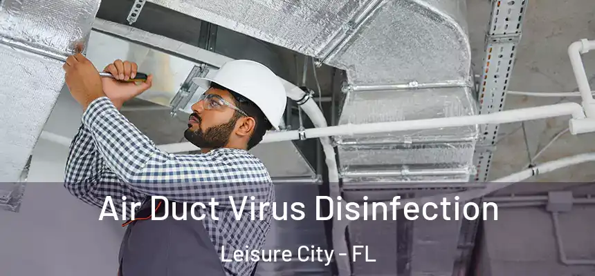  Air Duct Virus Disinfection Leisure City - FL