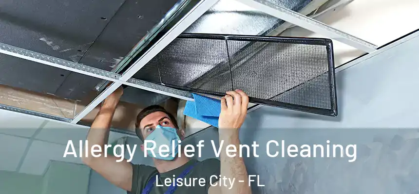Allergy Relief Vent Cleaning Leisure City - FL