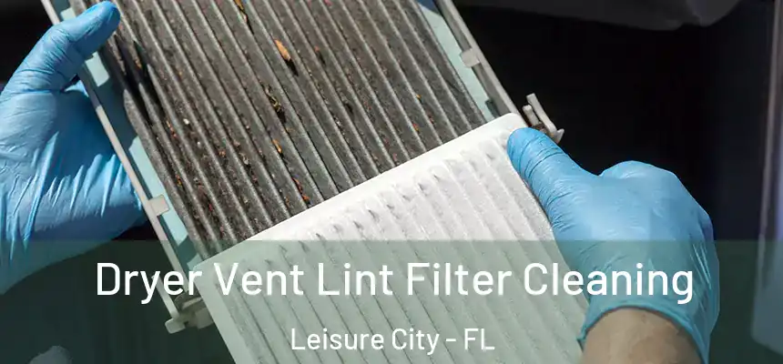  Dryer Vent Lint Filter Cleaning Leisure City - FL