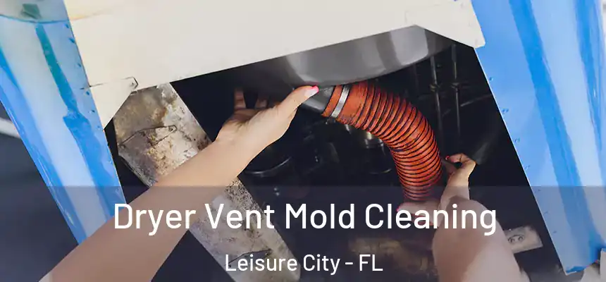  Dryer Vent Mold Cleaning Leisure City - FL