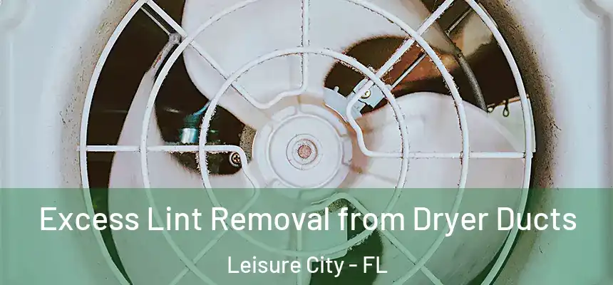 Excess Lint Removal from Dryer Ducts Leisure City - FL