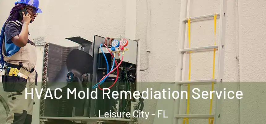  HVAC Mold Remediation Service Leisure City - FL