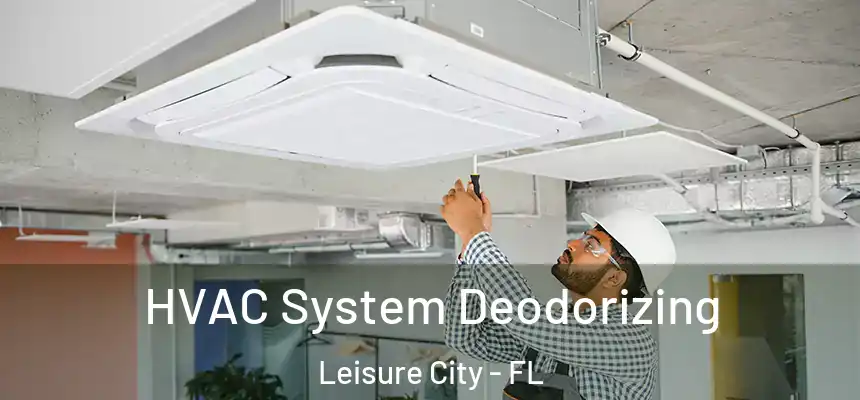  HVAC System Deodorizing Leisure City - FL