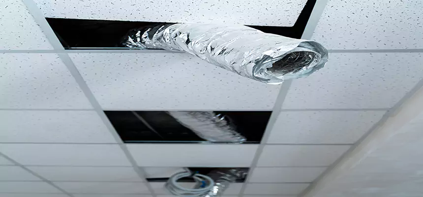 Our Air Duct Pet Hair Removal Services in Leisure City, FL