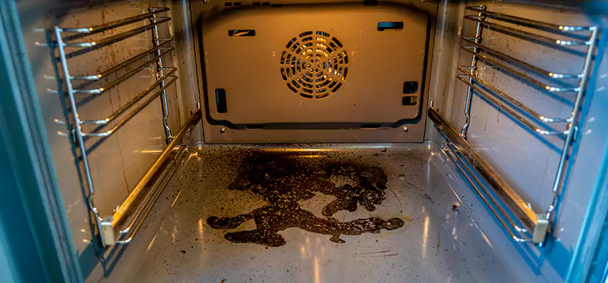 Our Dryer Vent Mold Cleaning Services in Leisure City, FL