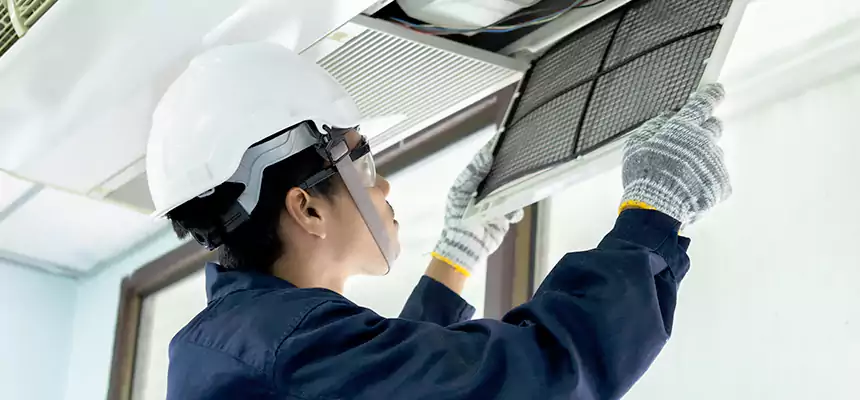 Our Mold & Mildew Removal from Air Ducts Services in Leisure City, FL