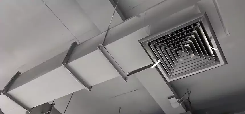 Our Pest Removal From Ducts Services in Leisure City, FL