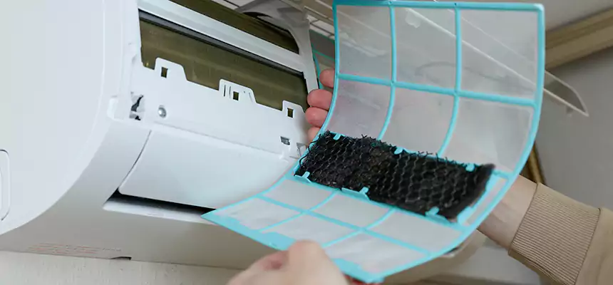 Gentle Ductwork Odor-Control Pet Dander Duct Cleaning in Leisure City, FL