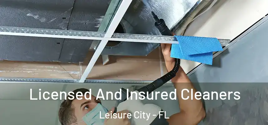  Licensed And Insured Cleaners Leisure City - FL