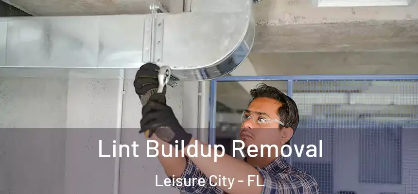Lint Buildup Removal Leisure City - FL