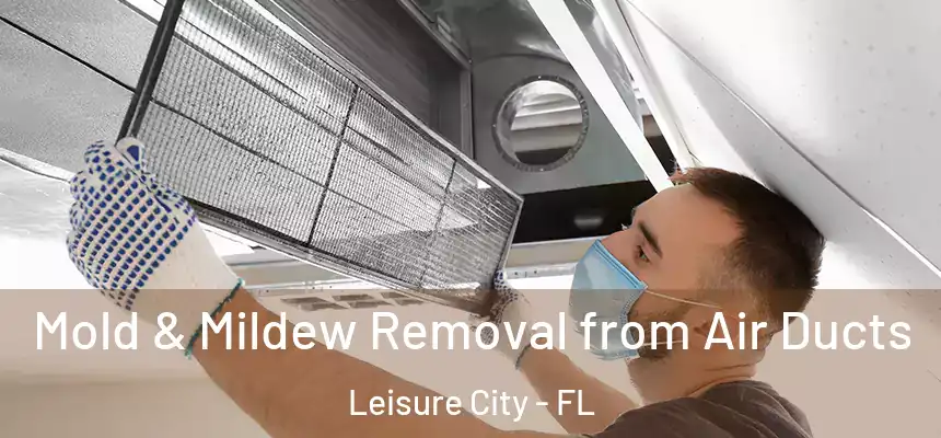  Mold & Mildew Removal from Air Ducts Leisure City - FL
