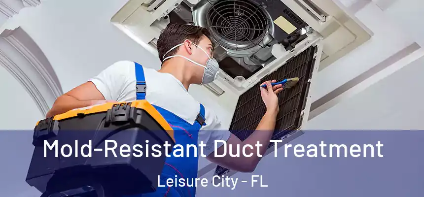 Mold-Resistant Duct Treatment Leisure City - FL