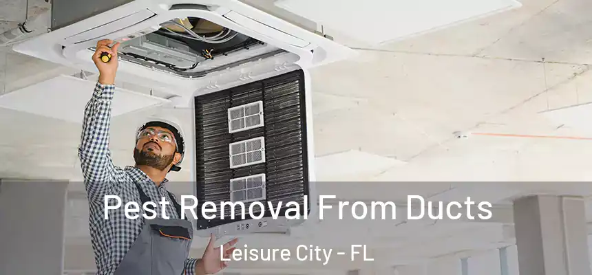  Pest Removal From Ducts Leisure City - FL