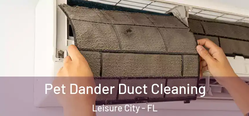  Pet Dander Duct Cleaning Leisure City - FL