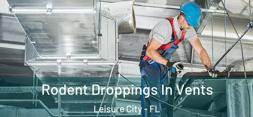  Rodent Droppings In Vents Leisure City - FL