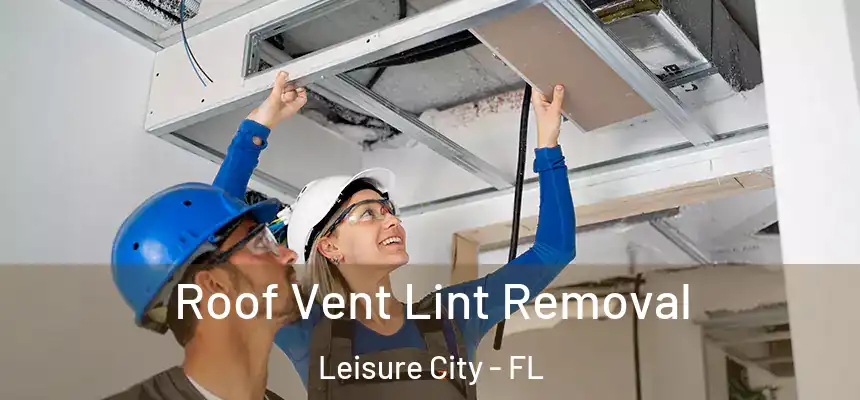 Roof Vent Lint Removal Leisure City - FL