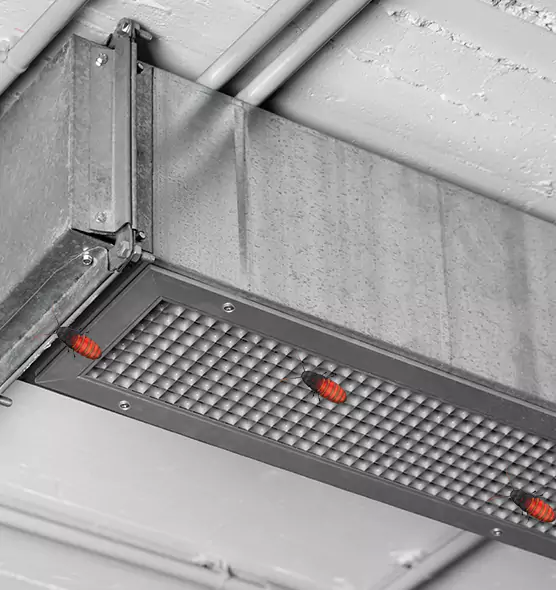 About Air Duct Cockroach Removal in Leisure City, FL