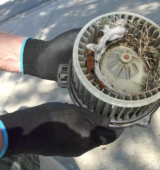 About Air Duct Mice Removal in Leisure City, FL