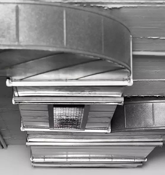 Professional Air Duct Pet Hair Removal in Leisure City, FL