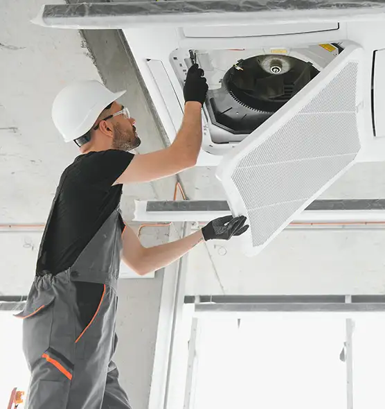 About Air Duct Rodent Removal in Leisure City, FL