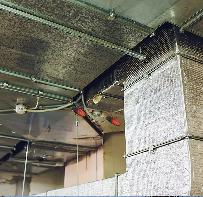 Why Homeowners & Businesses Trust Us in Leisure City, FL?