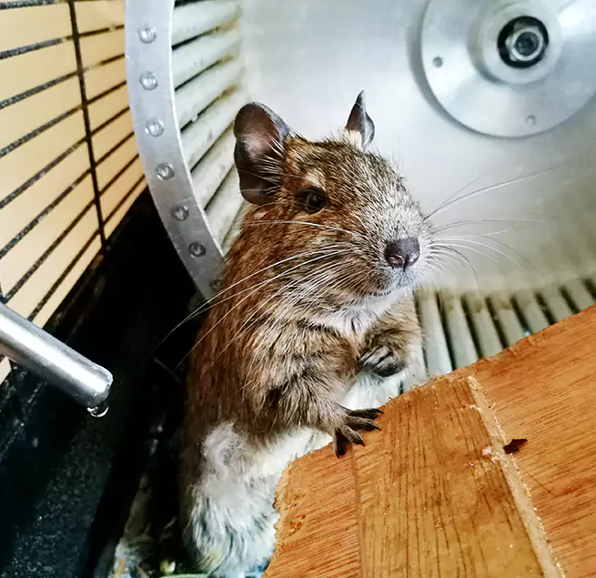 Why Homeowners & Businesses Trust Us Leisure City, FL