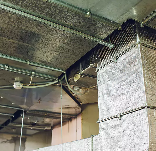 Why Homeowners & Businesses Trust Us in Leisure City, FL?