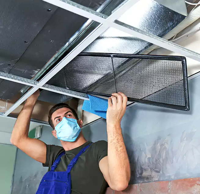 Why Homeowners Businesses Trust Us in Leisure City, FL